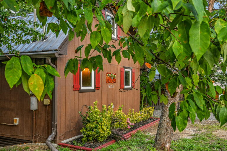 Tanner Manor Lodge | Kissing the Clouds